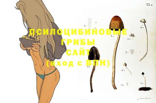 ГАЛЛЮЦИНОГЕННЫЕ ГРИБЫ Алексин