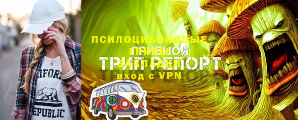 ГАЛЛЮЦИНОГЕННЫЕ ГРИБЫ Алексин