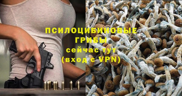гидра Алзамай