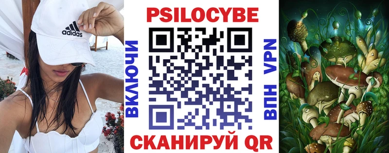 blacksprut ссылки  Березники  Галлюциногенные грибы Psilocybe 