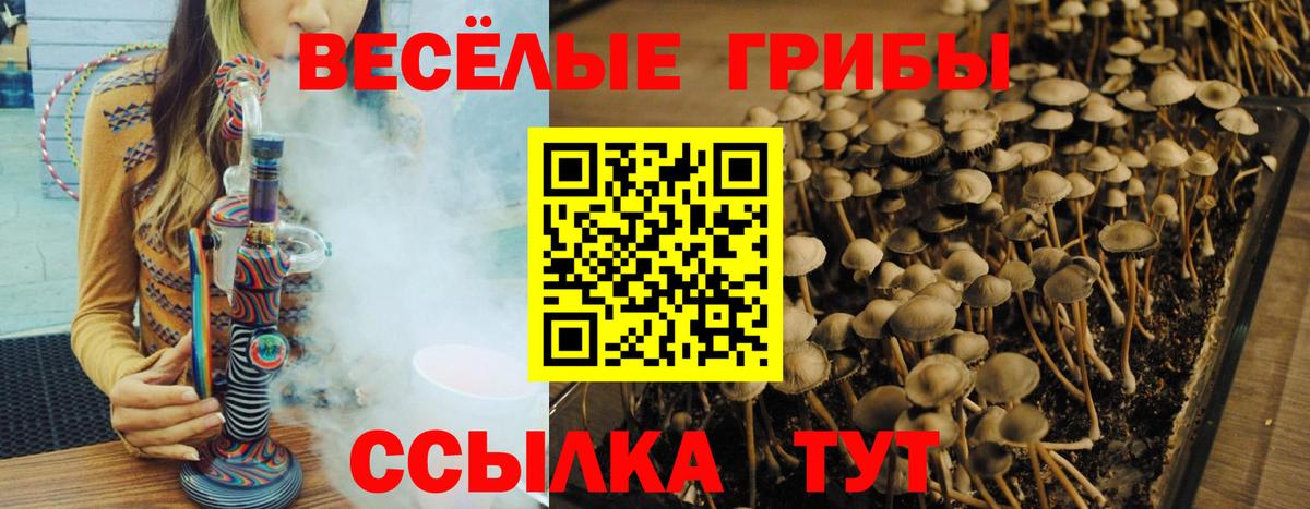 где купить наркотик  Галлюциногенные грибы мухоморы  Березники  Вход с VPN  Галлюциногенные грибы прущие грибы 