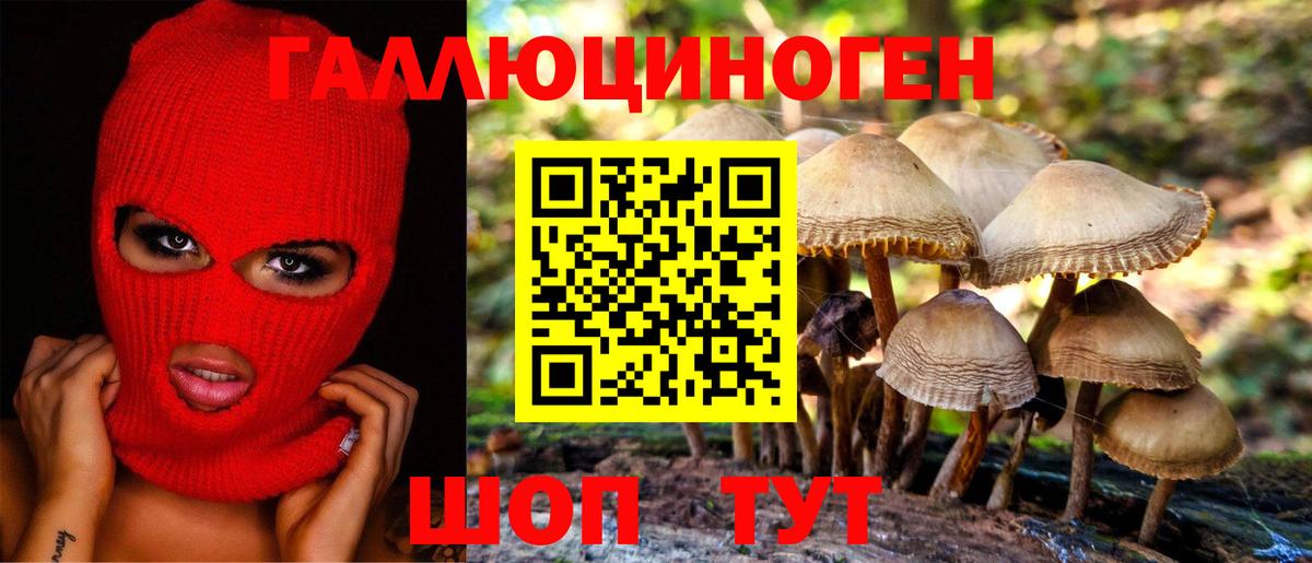 Псилоцибиновые грибы GOLDEN TEACHER Березники